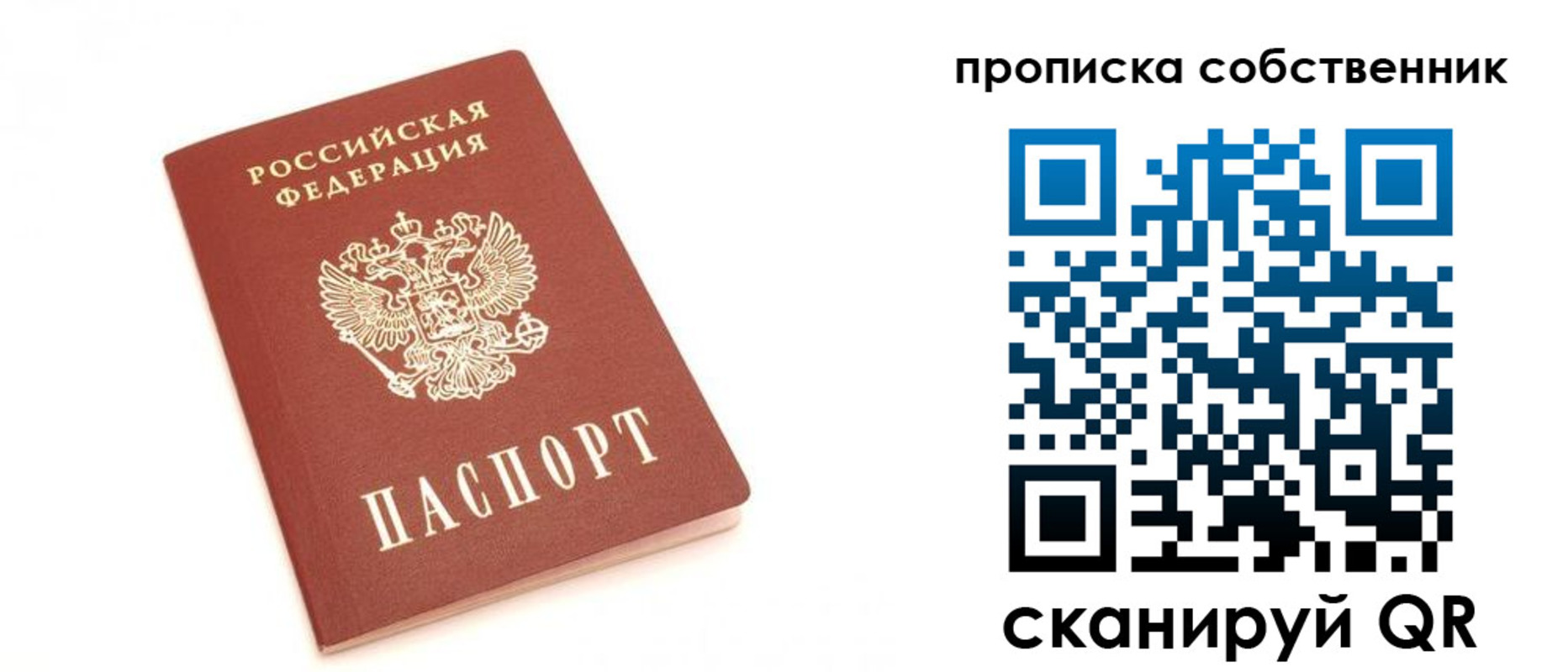 прописка поиск в Нижнекамске